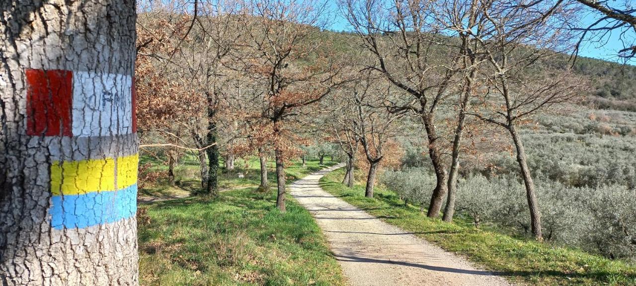 Domus Antiqua Bed & Breakfast Spello Εξωτερικό φωτογραφία