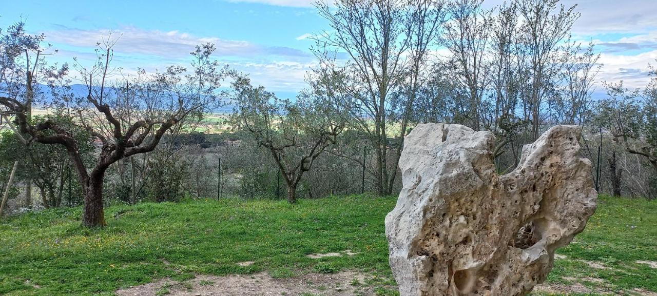 Domus Antiqua Bed & Breakfast Spello Εξωτερικό φωτογραφία