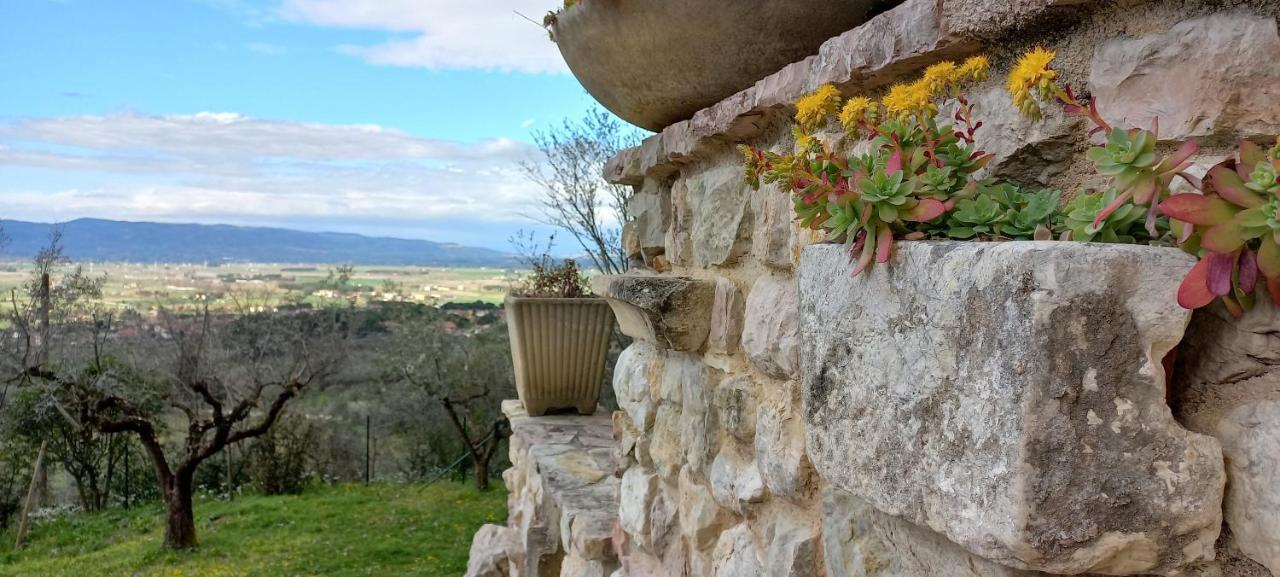 Domus Antiqua Bed & Breakfast Spello Εξωτερικό φωτογραφία
