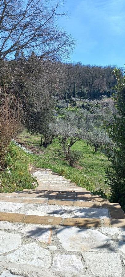 Domus Antiqua Bed & Breakfast Spello Εξωτερικό φωτογραφία