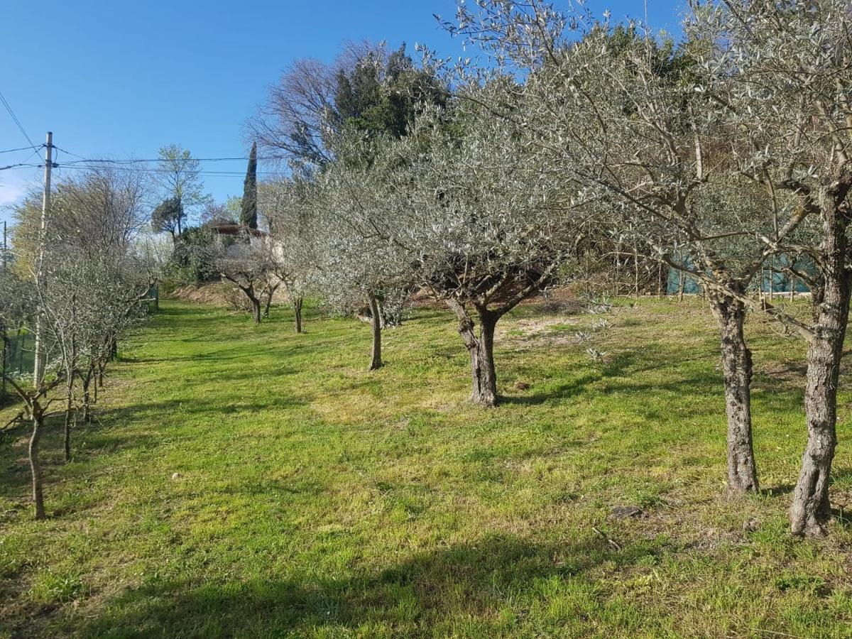 Domus Antiqua Bed & Breakfast Spello Εξωτερικό φωτογραφία