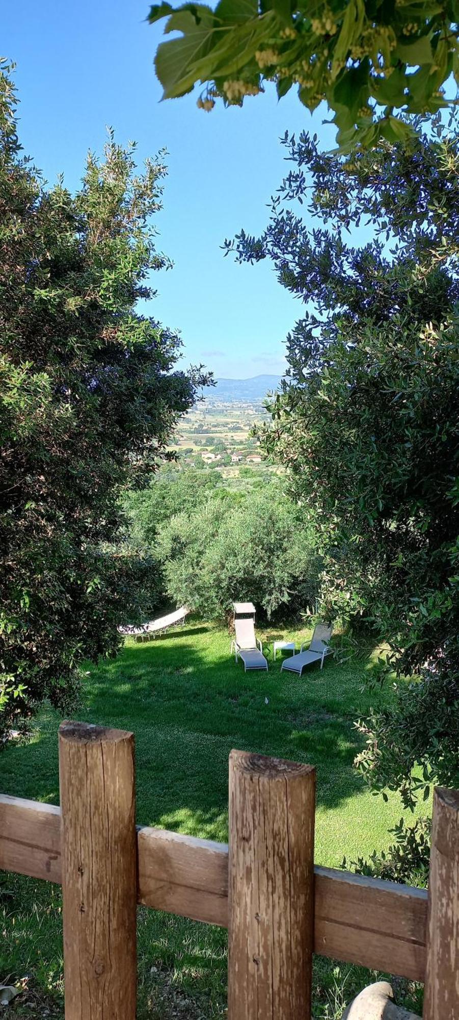 Domus Antiqua Bed & Breakfast Spello Εξωτερικό φωτογραφία