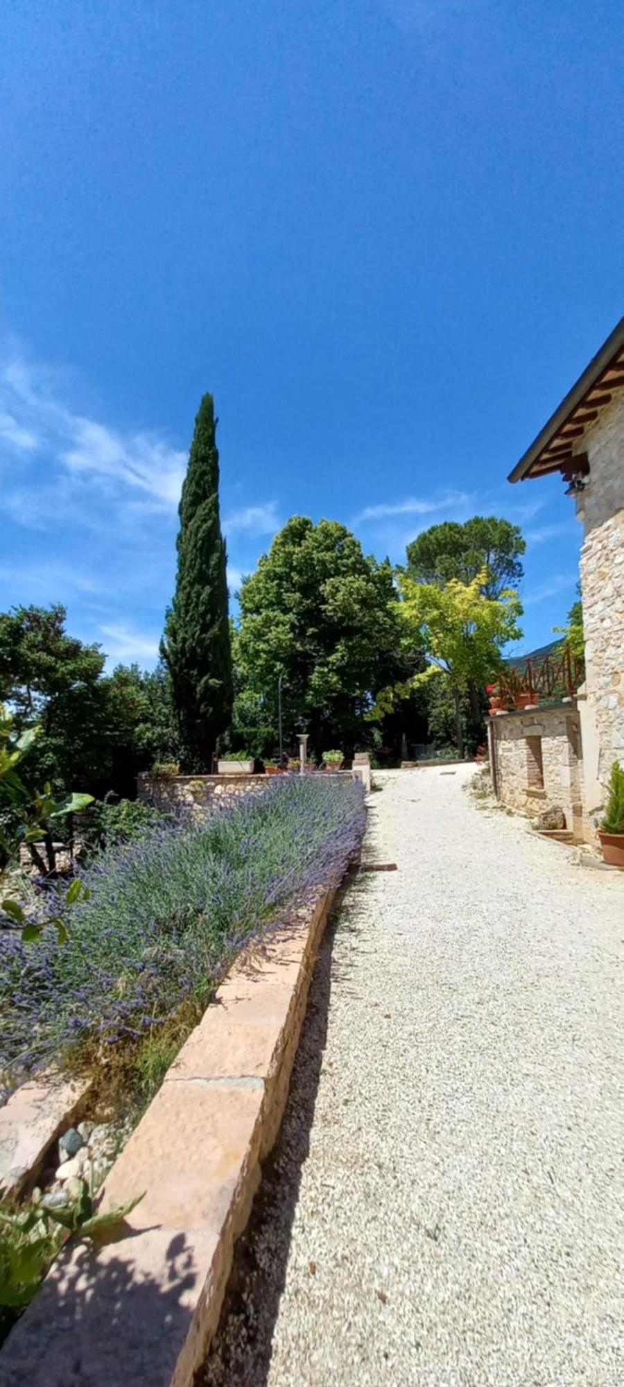 Domus Antiqua Bed & Breakfast Spello Εξωτερικό φωτογραφία