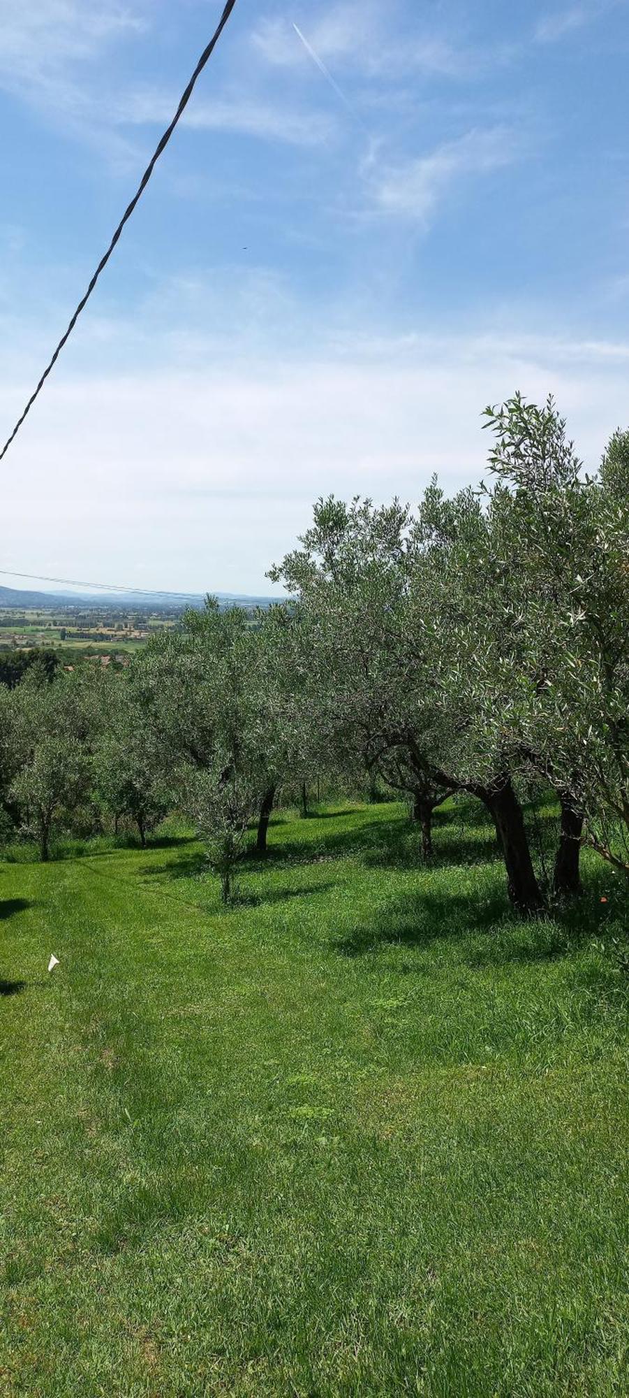 Domus Antiqua Bed & Breakfast Spello Εξωτερικό φωτογραφία