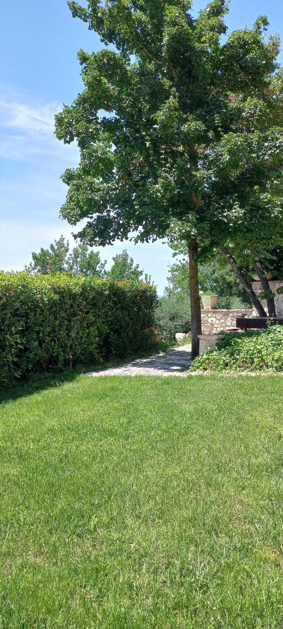 Domus Antiqua Bed & Breakfast Spello Εξωτερικό φωτογραφία